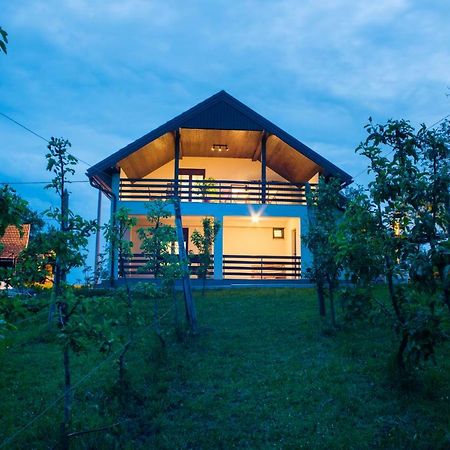Holiday Home Dandelion With Hot Tub & Sauna Cetingrad Exteriér fotografie