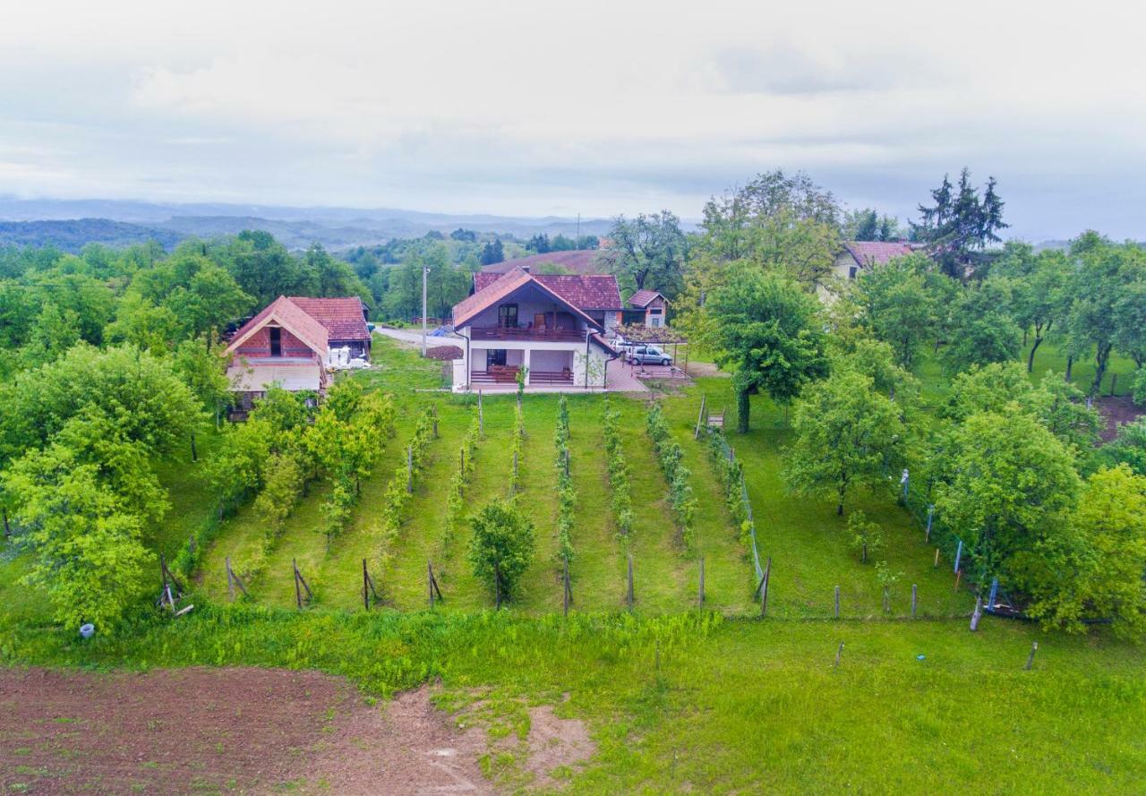 Holiday Home Dandelion With Hot Tub & Sauna Cetingrad Exteriér fotografie