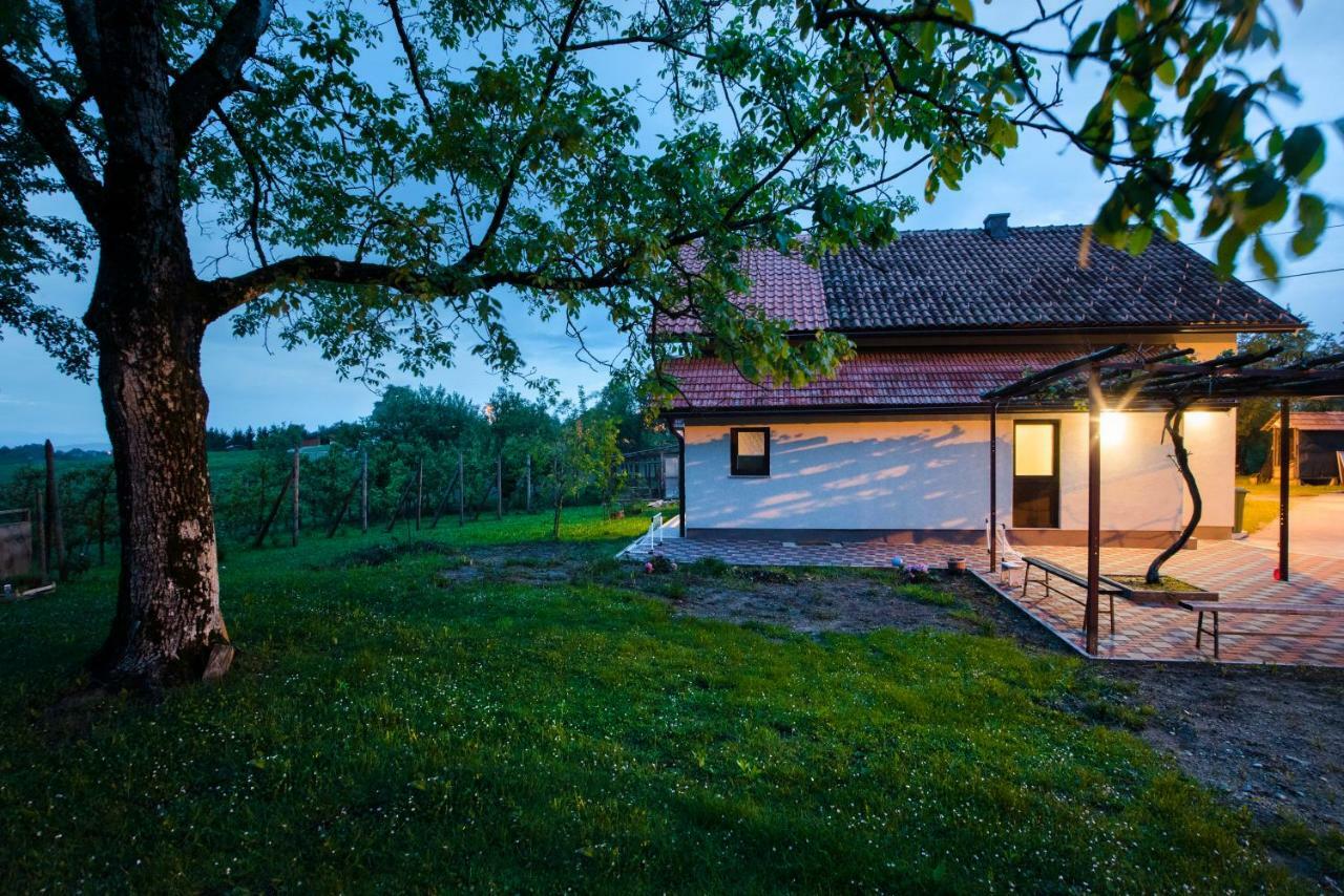 Holiday Home Dandelion With Hot Tub & Sauna Cetingrad Exteriér fotografie
