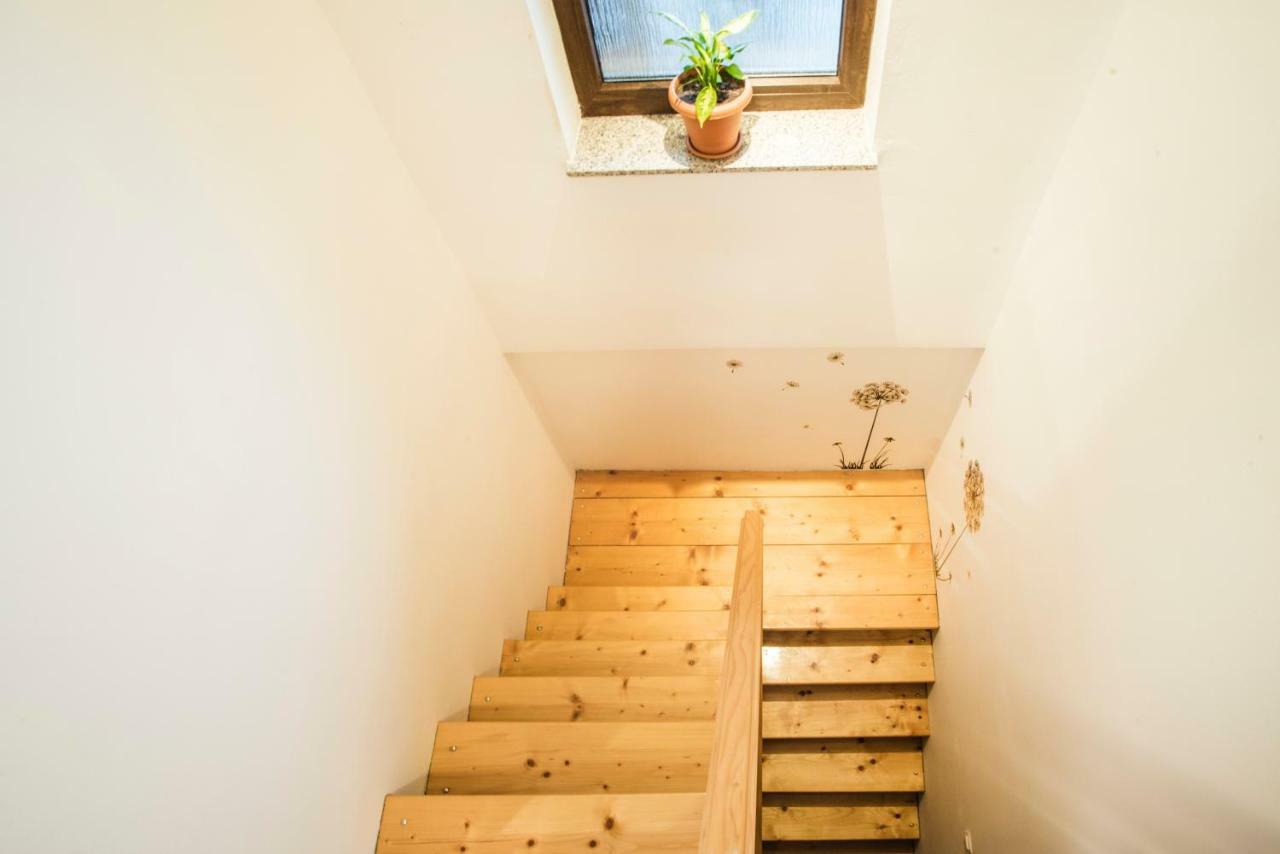 Holiday Home Dandelion With Hot Tub & Sauna Cetingrad Exteriér fotografie